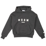 Grey Hoodie with Classic logo (Unisex)