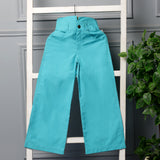 Trailblazer Wide-Leg Pants