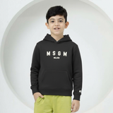 Grey Hoodie with Classic logo (Unisex)